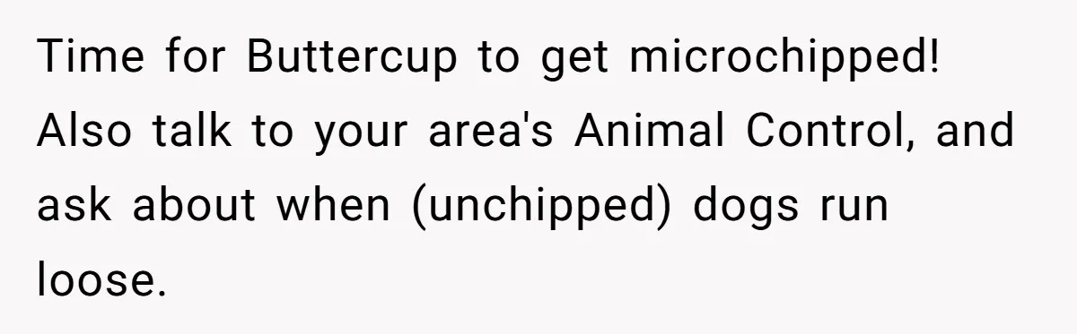 Time for Buttercup to get microchipped! Also talk to your area's Animal Control, and ask about when (unchipped) dogs run loose.