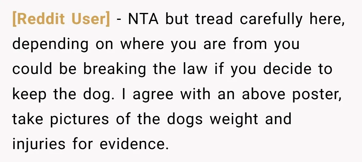 [Reddit User] − NTA but tread carefully here, depending on where you are from you could be breaking the law if you decide to keep the dog. I agree with...