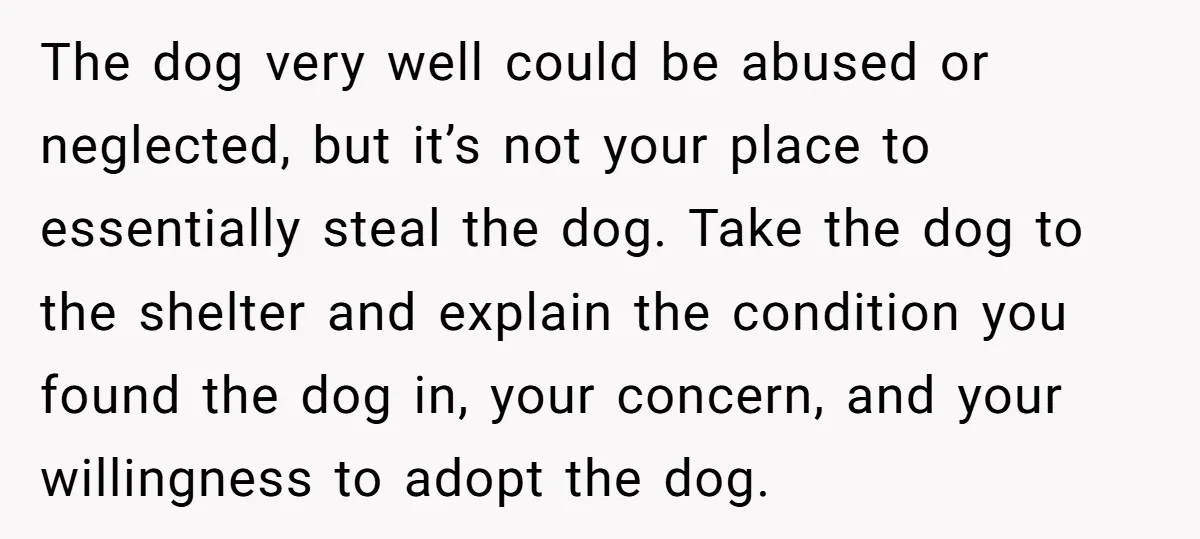 The dog very well could be abused or neglected, but it’s not your place to essentially steal the dog. Take the dog to the shelter and explain the condition you...