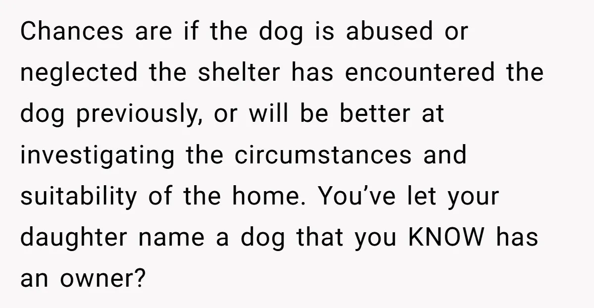 Chances are if the dog is abused or neglected the shelter has encountered the dog previously, or will be better at investigating the circumstances and suitability of the home. You’ve...