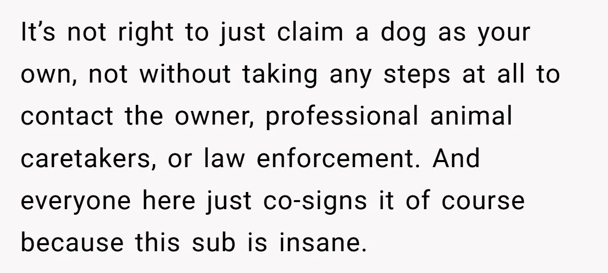It’s not right to just claim a dog as your own, not without taking any steps at all to contact the owner, professional animal caretakers, or law enforcement. And everyone...