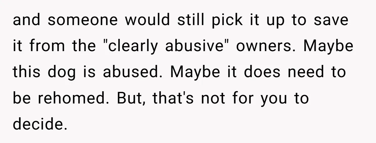 and someone would still pick it up to save it from the "clearly abusive" owners. Maybe this dog is abused. Maybe it does need to be rehomed. But, that's not...