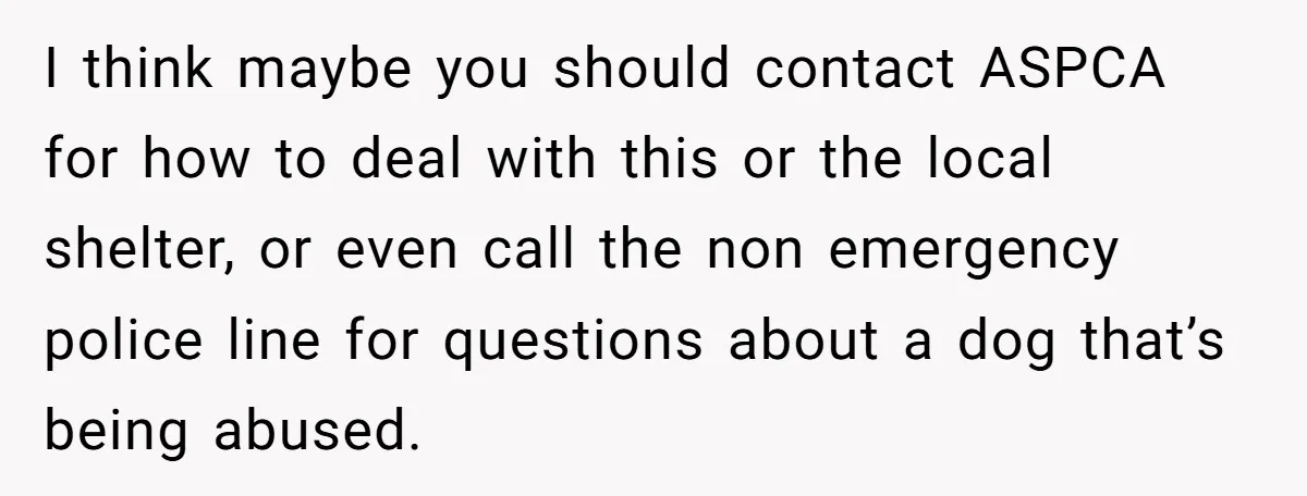 I think maybe you should contact ASPCA for how to deal with this or the local shelter, or even call the non emergency police line for questions about a dog...