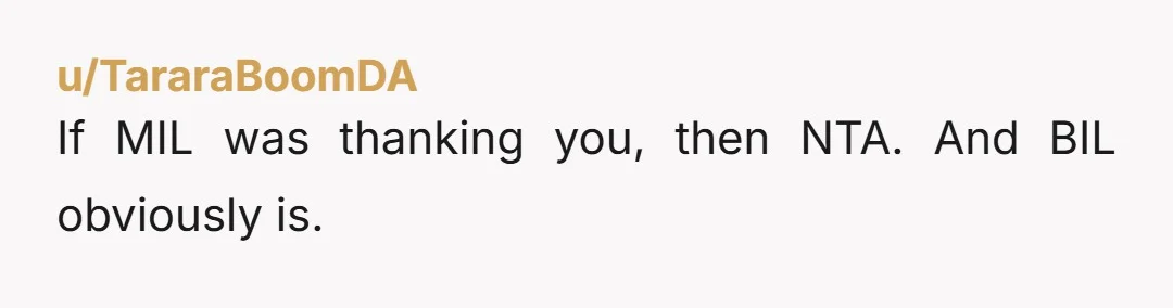 If MIL was thanking you, then NTA. And BIL obviously is.