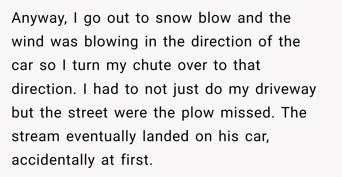 Anyway, I go out to snow blow and the wind was blowing in the direction of the car so I turn my chute over to that direction. I had to...