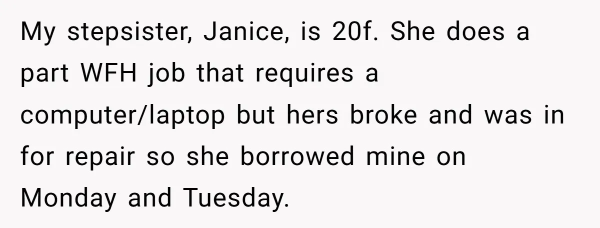 My stepsister, Janice, is 20f. She does a part WFH job that requires a computer/laptop but hers broke and was in for repair so she borrowed mine on Monday and...