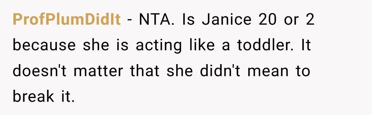 ProfPlumDidIt − NTA. Is Janice 20 or 2 because she is acting like a toddler. It doesn't matter that she didn't mean to break it.