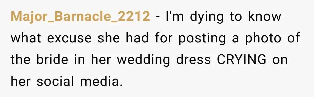 Major_Barnacle_2212 − I'm dying to know what excuse she had for posting a photo of the bride in her wedding dress CRYING on her social media.