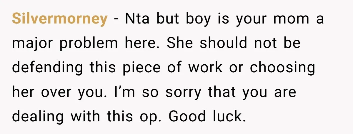 Silvermorney − Nta but boy is your mom a major problem here. She should not be defending this piece of work or choosing her over you. I’m so sorry that...