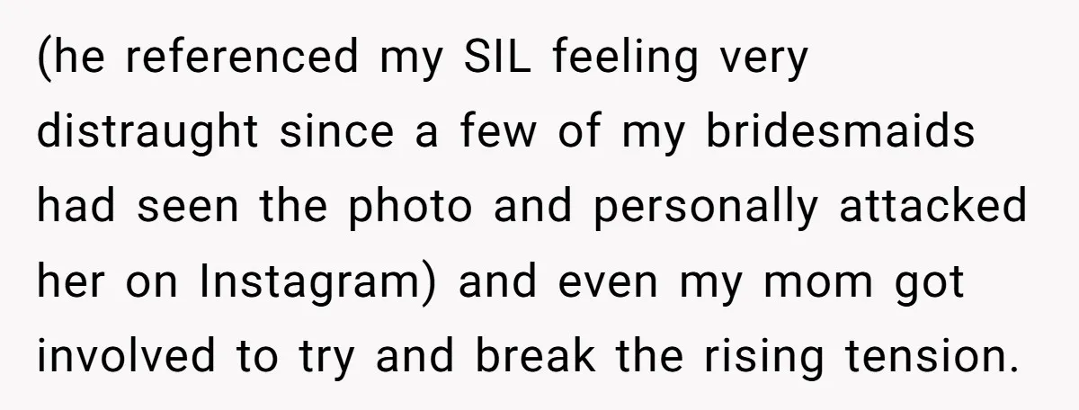 (he referenced my SIL feeling very distraught since a few of my bridesmaids had seen the photo and personally attacked her on Instagram) and even my mom got involved to...