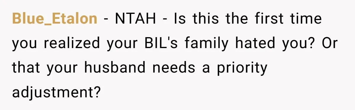 Blue_Etalon − NTAH - Is this the first time you realized your BIL's family hated you? Or that your husband needs a priority adjustment?