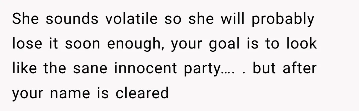 She sounds volatile so she will probably lose it soon enough, your goal is to look like the sane innocent party…. . but after your name is cleared