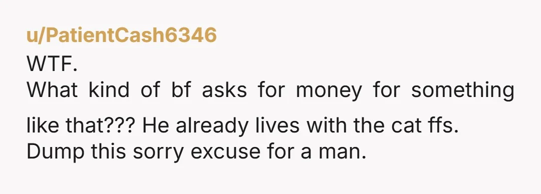 u/PatientCash6346
WTF.
What kind of bf asks for money for something like that??? He already lives with the cat ffs.
Dump this sorry excuse for a man.