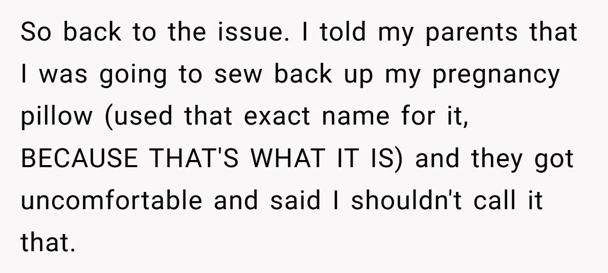 So back to the issue. I told my parents that I was going to sew back up my pregnancy pillow (used that exact name for it, BECAUSE THAT'S WHAT IT...