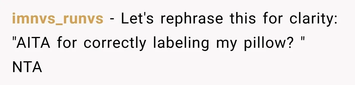imnvs_runvs − Let's rephrase this for clarity: "AITA for correctly labeling my pillow? " NTA