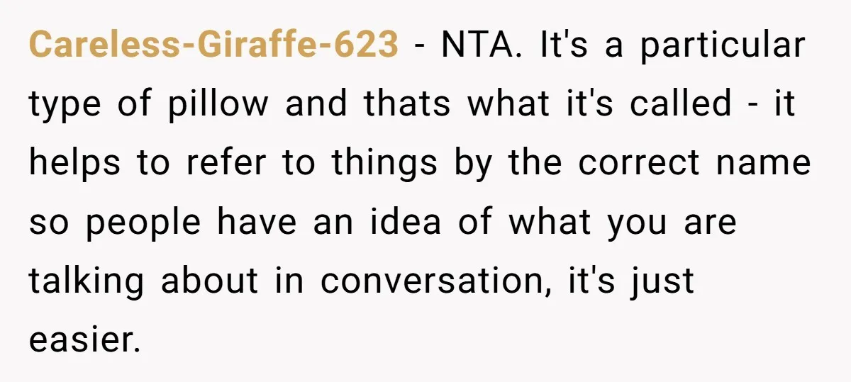 Careless-Giraffe-623 − NTA. It's a particular type of pillow and thats what it's called - it helps to refer to things by the correct name so people have an idea...