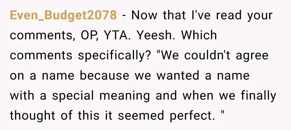Even_Budget2078 − Now that I've read your comments, OP, YTA. Yeesh. Which comments specifically? "We couldn't agree on a name because we wanted a name with a special meaning and...