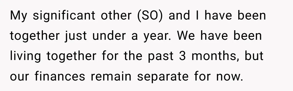 My significant other (SO) and I have been together just under a year. We have been living together for the past 3 months, but our finances remain separate for now.