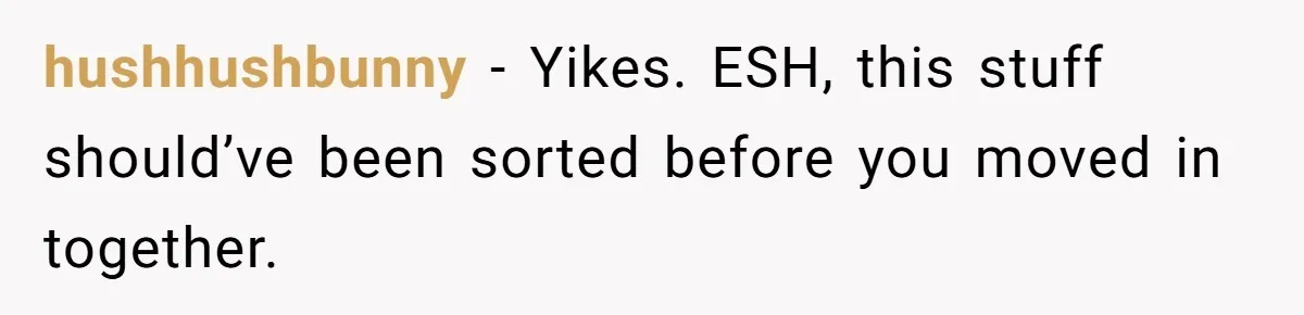 hushhushbunny − Yikes. ESH, this stuff should’ve been sorted before you moved in together.
