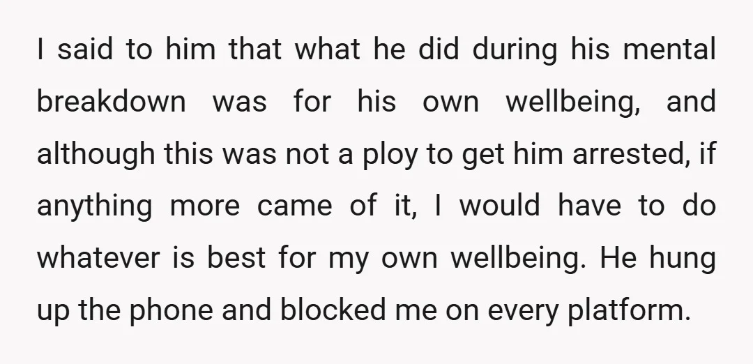I said to him that what he did during his mental breakdown was for his own wellbeing, and although this was not a ploy to get him arrested, if anything...