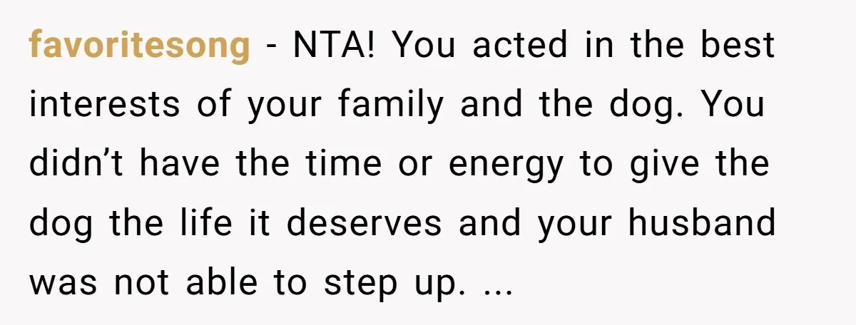 favoritesong − NTA! You acted in the best interests of your family and the dog. You didn’t have the time or energy to give the dog the life it deserves...