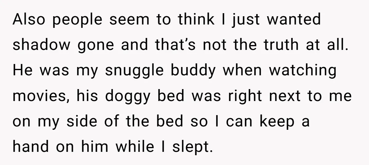 Also people seem to think I just wanted shadow gone and that’s not the truth at all. He was my snuggle buddy when watching movies, his doggy bed was right...