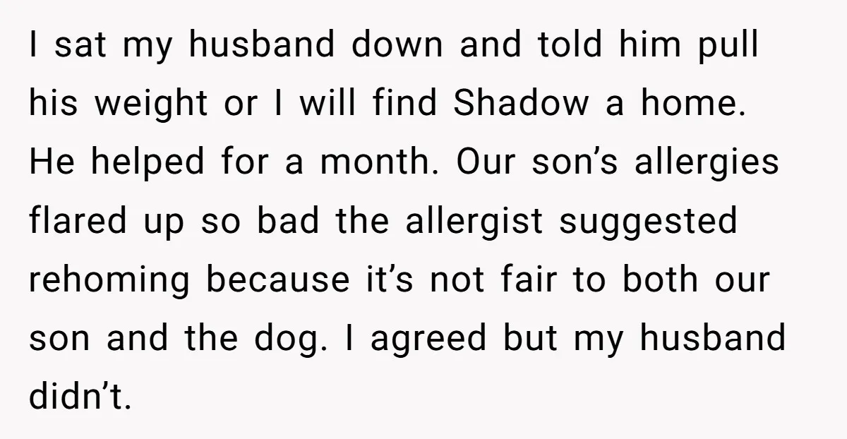 I sat my husband down and told him pull his weight or I will find Shadow a home. He helped for a month. Our son’s allergies flared up so bad...