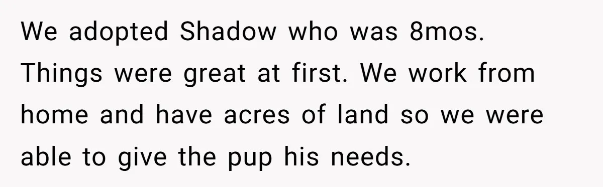 We adopted Shadow who was 8mos. Things were great at first. We work from home and have acres of land so we were able to give the pup his needs.
