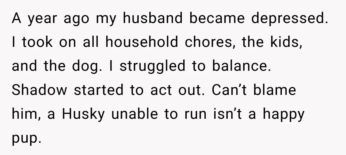 A year ago my husband became depressed. I took on all household chores, the kids, and the dog. I struggled to balance. Shadow started to act out. Can’t blame him,...