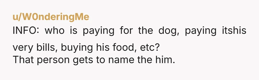 u/keevathemuffin
NAH Dogs can have nicknames. Just let your parents pick a name that kind of sounds like Nugget