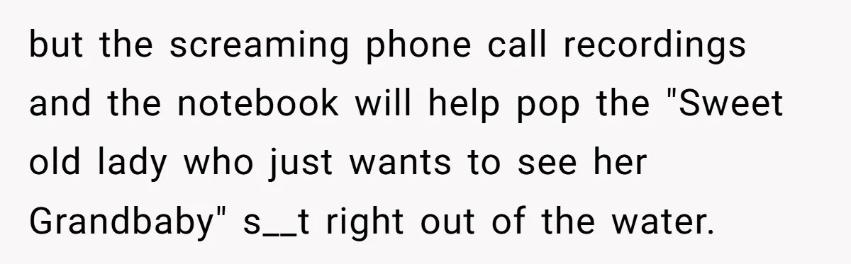 but the screaming phone call recordings and the notebook will help pop the "Sweet old lady who just wants to see her Grandbaby" s__t right out of the water.
