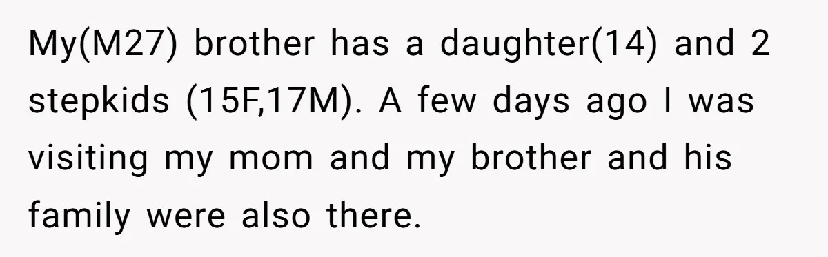 My(M27) brother has a daughter(14) and 2 stepkids (15F,17M). A few days ago I was visiting my mom and my brother and his family were also there.