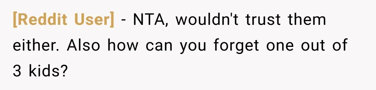 [Reddit User] − NTA, wouldn't trust them either. Also how can you forget one out of 3 kids?