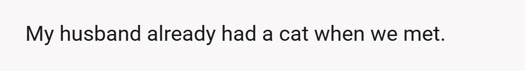 My husband already had a cat when we met.