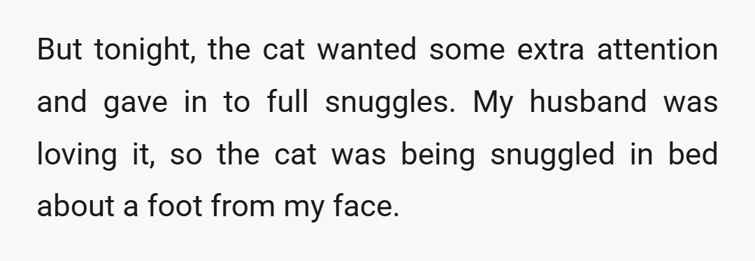 But tonight, the cat wanted some extra attention and gave in to full snuggles. My husband was loving it, so the cat was being snuggled in bed about a foot...