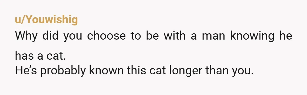 u/zotown97 Even if you did get up intentionally to make the cat follow- NTA. He could have gotten up to the couch to love the cat, it did not need...