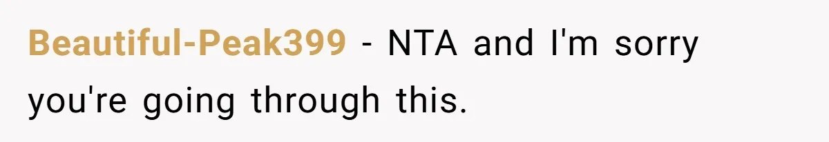 Beautiful-Peak399 − NTA and I'm sorry you're going through this.