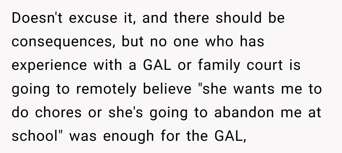 Doesn't excuse it, and there should be consequences, but no one who has experience with a GAL or family court is going to remotely believe "she wants me to do...