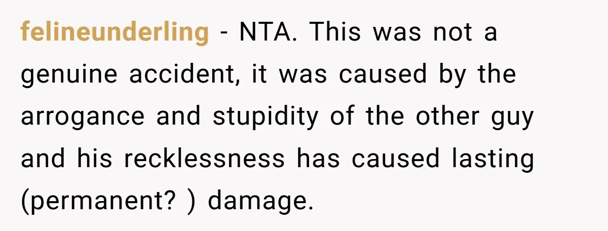 felineunderling − NTA. This was not a genuine accident, it was caused by the arrogance and stupidity of the other guy and his recklessness has caused lasting (permanent? ) damage.