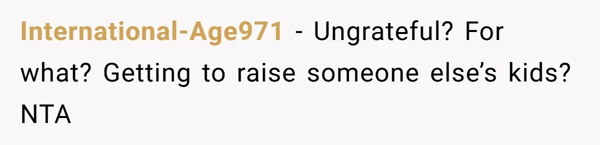 International-Age971 − Ungrateful? For what? Getting to raise someone else’s kids? NTA