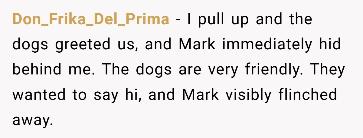 Don_Frika_Del_Prima − I pull up and the dogs greeted us, and Mark immediately hid behind me. The dogs are very friendly. They wanted to say hi, and Mark visibly flinched...