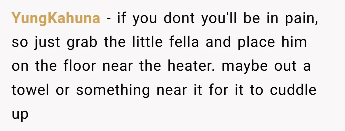 YungKahuna − if you dont you'll be in pain, so just grab the little fella and place him on the floor near the heater. maybe out a towel or something...