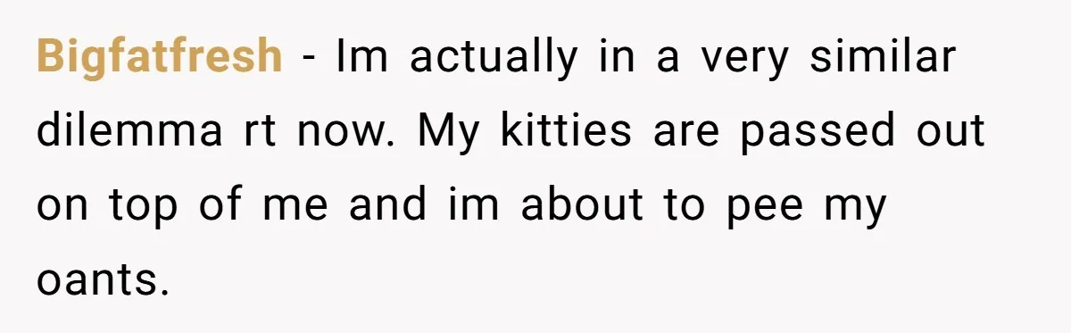 Bigfatfresh − Im actually in a very similar dilemma rt now. My kitties are passed out on top of me and im about to pee my oants.