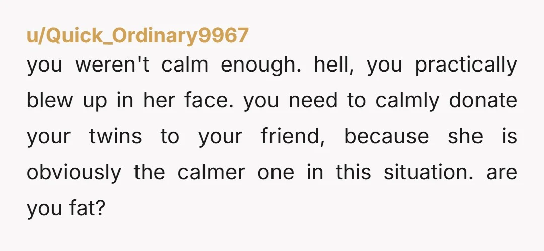 u/Quick_Ordinary9967 you weren't calm enough. hell, you practically blew up in her face. you need to calmly donate your twins to your friend, because she is obviously the calmer one...