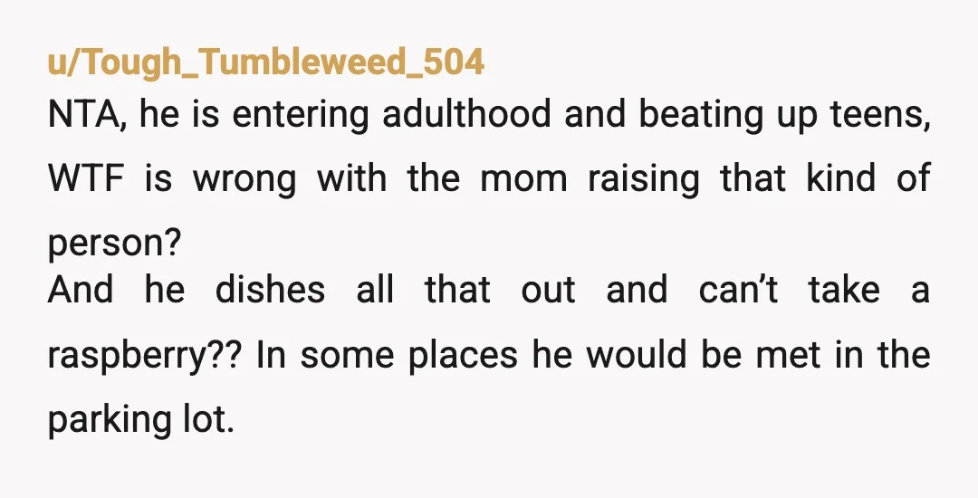 u/Tough_Tumbleweed_504 NTA, he is entering adulthood and beating up teens, WTF is wrong with the mom raising that kind of person? And he dishes all that out and can’t take...