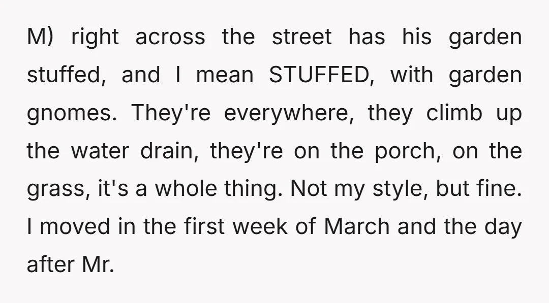 M) right across the street has his garden stuffed, and I mean STUFFED, with garden gnomes. They're everywhere, they climb up the water drain, they're on the porch, on the...