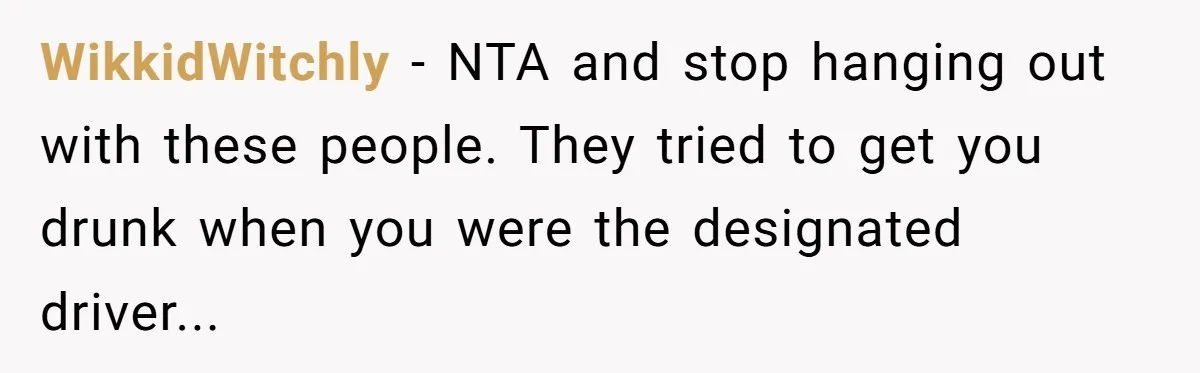 WikkidWitchly − NTA and stop hanging out with these people. They tried to get you drunk when you were the designated driver...