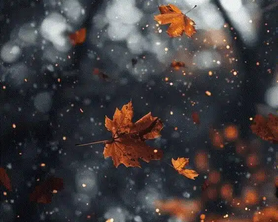 25+ Stunning And Dreamy Fall Phone Wallpapers