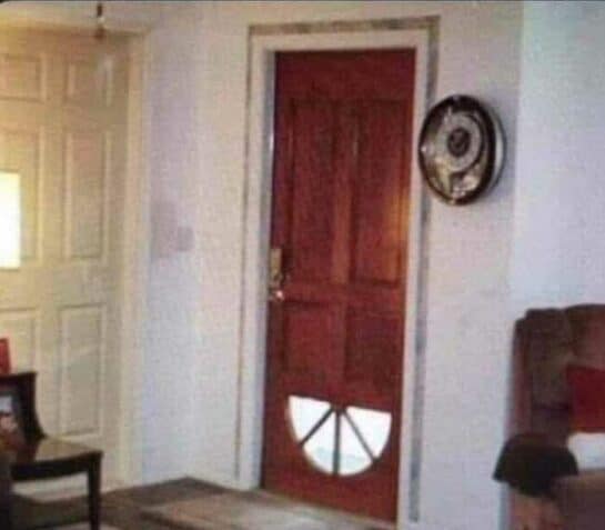 40 Hilarious Random Pics To Brighten Your Day And Distract You From ...