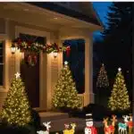 Outdoor Christmas Light Ideas